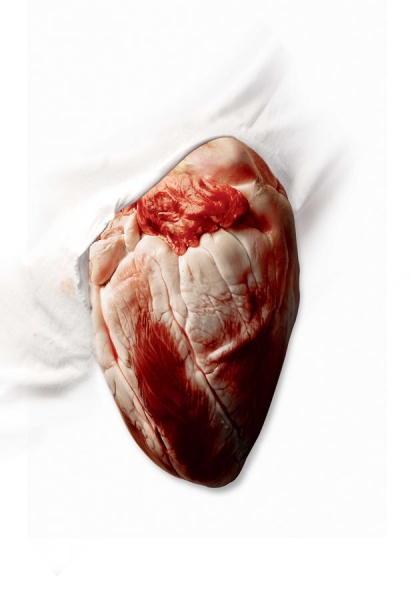 Photograph Mario Coelho Heart on One Eyeland